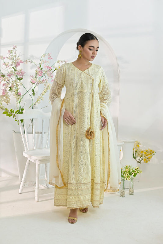 Chiffon zari emb Offwhite 700