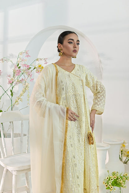 Chiffon zari emb Offwhite 700